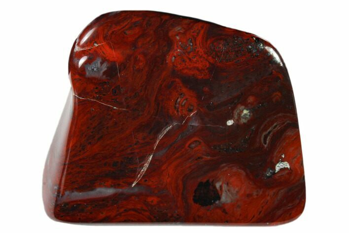 Polished Stromatolite (Collenia) - Minnesota #136911
